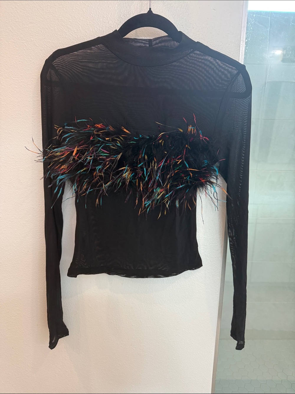 Black Sheer Long-Sleeve Top with Multicolor Feather Trim